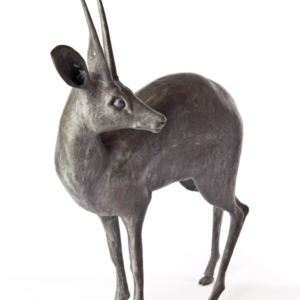Deer - Brian Fell - View 1